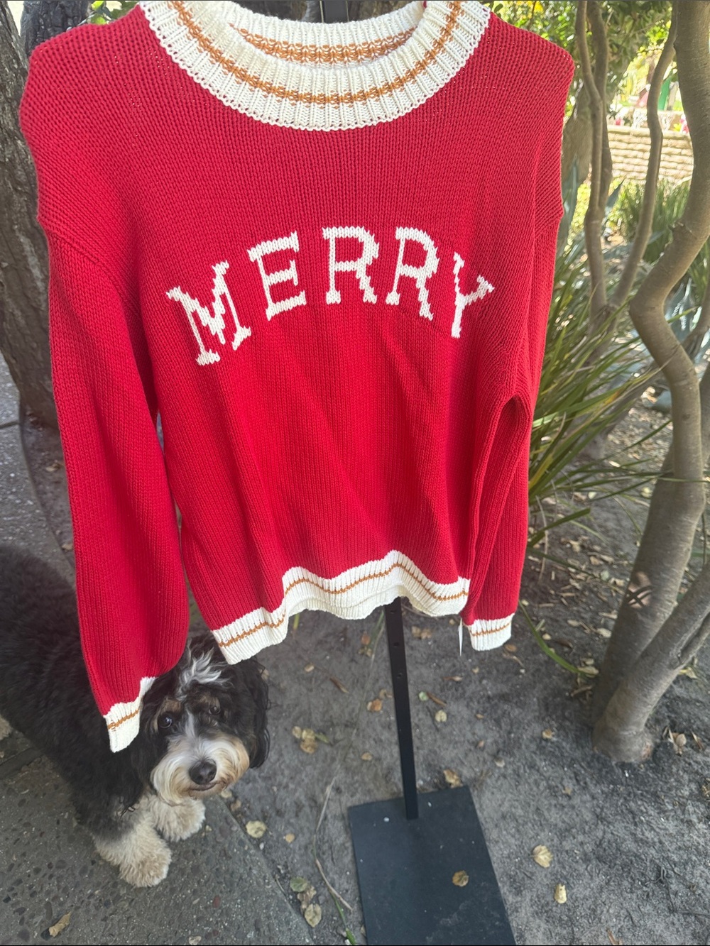 Source Unknown Red 'MERRY' Crewneck Sweater with Cream Trim